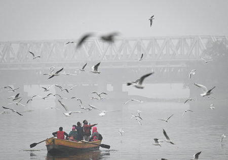 NEW DELHI, INDIA - DECEMBER 29: Tourists feed the migratory birds on a cold and foggy morning at Yamuna Bazaar on December 29, 2024 in New Delhi, India. North India is reeling under cold weather with temperatures plummeting across several states. As per Iのeditorial素材