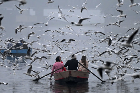 NEW DELHI, INDIA - DECEMBER 29: Yamuna Ghat at Kashmiri Gate emerges as the most iconic picnic spot during sunrise on weekend, as people in large numbers gathered to feed seagull birds,  on December 29, 2024 in New Delhi, India. North India is reeling undのeditorial素材