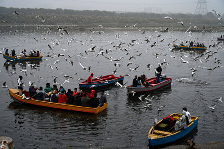 NEW DELHI, INDIA - DECEMBER 29: Yamuna Ghat at Kashmiri Gate emerges as the most iconic picnic spot during sunrise on weekend, as people in large numbers gathered to feed seagull birds,  on December 29, 2024 in New Delhi, India. North India is reeling undのeditorial素材