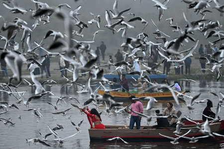 NEW DELHI, INDIA - DECEMBER 29: Yamuna Ghat at Kashmiri Gate emerges as the most iconic picnic spot during sunrise on weekend, as people in large numbers gathered to feed seagull birds,  on December 29, 2024 in New Delhi, India. North India is reeling undのeditorial素材