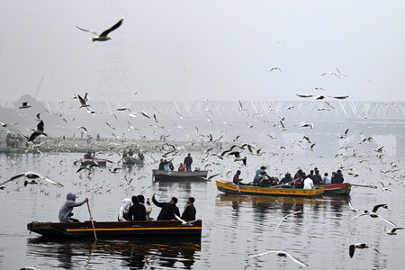 NEW DELHI, INDIA - DECEMBER 29: Yamuna Ghat at Kashmiri Gate emerges as the most iconic picnic spot during sunrise on weekend, as people in large numbers gathered to feed seagull birds,  on December 29, 2024 in New Delhi, India. North India is reeling undのeditorial素材