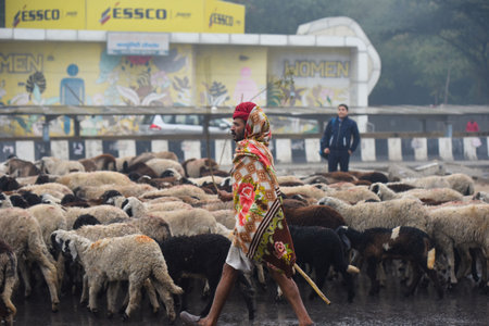 GURUGRAM, INDIA - JANUARY 11: Commuters on their way during the light rains at National Highway-48 near Rajiv chowk, on January 11, 2025 in Gurugram, India. (Photo by Parveen Kumar/Hindustan Times )のeditorial素材