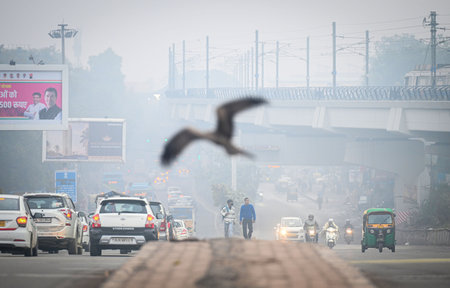 NEW DELHI, INDIA - JANUARY 12: People seen out on a cold morning at Kirti Nagar on January 12, 2025 in New Delhi, India. North India is reeling under cold weather with temperatures plummeting across several states. As per IMD, the minimum temperature in Dのeditorial素材
