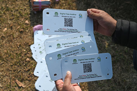SRINAGAR INDIA JANUARY 23 2025 A worker holds QR code based GIS plates before installing them on a Chinar tree as part of the tree conservation at Nishat Bagh on January 23 2025 in Srinagar India Symbol of Kashmirâs natural heritage chinar trees to be gのeditorial素材