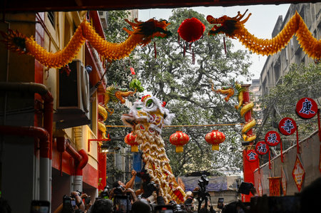 KOLKATA, INDIA - JANUARY 29: Traditional Dragon dance during celebration of The Lunar New Year of Snake (Chinese New Year) by Chinese origin local people on January 29, 2025 in Kolkata, India. The Chinese New Year was celebrated on Wednesday to mark the bのeditorial素材