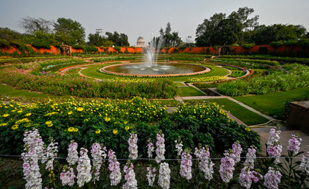 NEW DELHI INDIA JANUARY 31 2025 Flowers in full bloom during the media preview of Amrit Udyan at Rashtrapati Bhawan on January 31 2025 in New Delhi India The Amrit Udyan Utsav 2025 formerly known as the Mughal Gardens is set to open its gates to the publiのeditorial素材