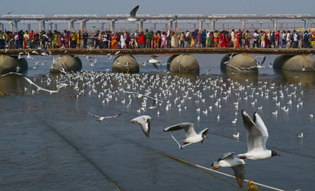 PRAYAGRAJ, INDIA - FEBRUARY 1: Siberian birds are flying over the pontoon bridge during Mahakumbh on February 1, 2025 in Prayagraj, India. (Photo by Deepak Gupta/Hindustan Times )のeditorial素材
