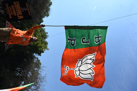 NEW DELHI, INDIA - FEBRUARY 8: Bharatiya Janata Party (BJP) supporters and workers celebrate the...