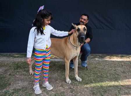 NOIDA, INDIA - FEBRUARY 9: Dogs of different breeds participated in the dog competition during a Pet Roll Carnival 2025  organized by the authority at Shivalik Park, Sector 33, on February 9, 2025 in Noida, India. The event is aimed at offering a unique oのeditorial素材