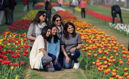 NEW DELHI INDIA FEBRUARY 11 2025 People gather in large numbers to witness the Spring Season during the inauguration of NDMC Tulip Festival2025 andÂ  participate in Tulip Walk and also visit Tulip Exhibition at Shantipath in Chanakyapuri on February 11 20のeditorial素材