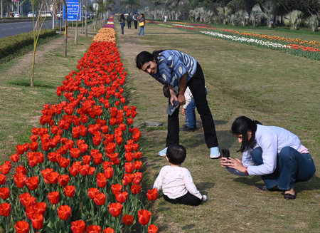 NEW DELHI INDIA FEBRUARY 11 2025 visiter Looks Tulip Flower after Lt Governor Delhi Vinai Kumar Saxena with Ambassador Kingdom of the Netherlands Marisa Gerards inaugurating the NDMC Tulip Festival2025 andÂ  participate in Tulip Walk and also visit Tulip のeditorial素材