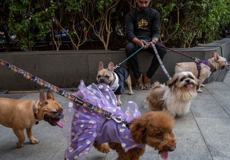 MUMBAI, INDIA - MARCH 23: Mumbai pet lovers enjoy evening with Fur-tastic Feast - a day at RCity mall, on March 23, 2025 in Mumbai, India. (Photo by Satish Bate/Hindustan Times )のeditorial素材