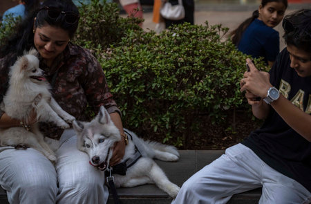MUMBAI, INDIA - MARCH 23: Mumbai pet lovers enjoy evening with Fur-tastic Feast - a day at RCity mall, on March 23, 2025 in Mumbai, India. (Photo by Satish Bate/Hindustan Times )のeditorial素材