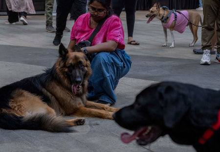 MUMBAI, INDIA - MARCH 23: Mumbai pet lovers enjoy evening with Fur-tastic Feast - a day at RCity mall, on March 23, 2025 in Mumbai, India. (Photo by Satish Bate/Hindustan Times )のeditorial素材