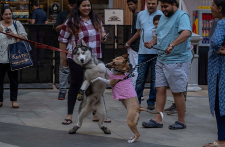MUMBAI, INDIA - MARCH 23: Mumbai pet lovers enjoy evening with Fur-tastic Feast - a day at RCity mall, on March 23, 2025 in Mumbai, India. (Photo by Satish Bate/Hindustan Times )のeditorial素材