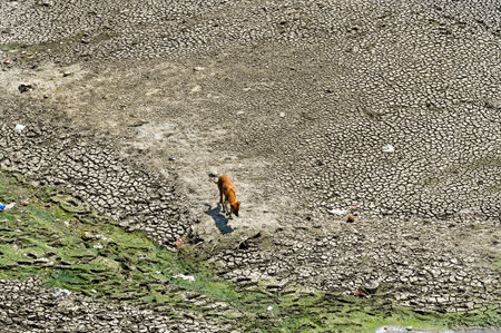 NEW DELHI, INDIA - MARCH 26: The river bed is visible and only a small stream flowing across the ITO barrage seen Yamuna run dry, on March 26, 2025 in New Delhi, India. Cleaning Yamuna has been at the centre of the new BJP government agenda. (Photo by RAjのeditorial素材
