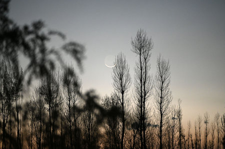 SRINAGAR, INDIA - MARCH 30: A view of the crescent moon seen from Srinagar on the occasion of Eid, on March 30, 2025 in Srinagar, India. (Photo by Waseem Andrabi/Hindustan Times )のeditorial素材