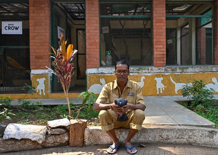 MUMBAI, INDIA --- JANUARY 30: Staff of Animal hospital hold detained pigeon before releasing after getting clearance from Police dept, at BSPCA, on January 30, 2024 in Mumbai, India. A pigeon held captive for eight months on alleged charges of being a ---のeditorial素材