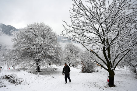 SRINAGAR, INDIA - FEBRUARY 1: A man walks after a seasons first snowfall on February 1, 2024 in the outskirts of Srinagar, India. It is the season---s first snowfall in the plains of the Kashmir valley, including in the summer capital Srinagar, which had のeditorial素材
