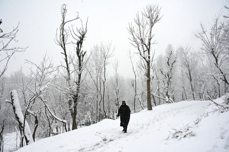 SRINAGAR, INDIA --- FEBRUARY 4: A man walks during a snowfall on February 4, 2024 in Srinagar, India. Several parts of Kashmir, including Srinagar city, witnessed fresh snowfall as the MeT department has forecast moderate top-heavy snowfall in the valley のeditorial素材