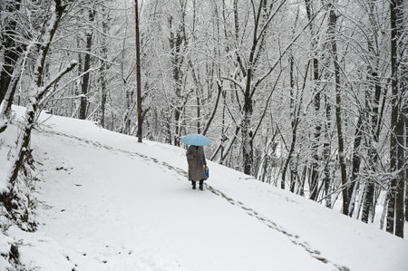 SRINAGAR, INDIA --- FEBRUARY 4: A man walks during a snowfall on February 4, 2024 in Srinagar, India. Several parts of Kashmir, including Srinagar city, witnessed fresh snowfall as the MeT department has forecast moderate top-heavy snowfall in the valley のeditorial素材