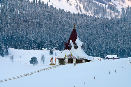 SRINAGAR, INDIA - FEBRUARY 25: A view of the famous snow covered ski resort, Gulmarg, about 55kms from on February 25, 2024 in Srinagar, India. (Photo by Waseem Andrabi/Hindustan Times )のeditorial素材