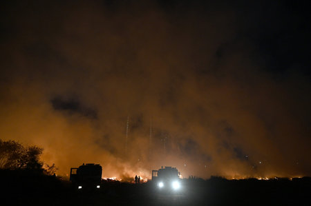 NOIDA, INDIA - MARCH 25: A fire that broke out at a vacant plot in Sector 32, on Monday evening...