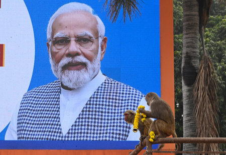AYODHYA, INDIA - DECEMBER 30:  A monkey with the garland sitting near Hanuman Garhi during the road...