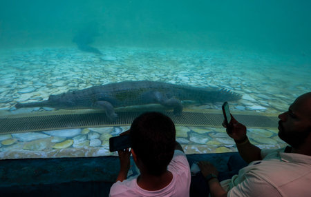 MUMBAI, INDIA - MAY 8: Visitors watch movements of Gharial in the new underwater glass viewing...