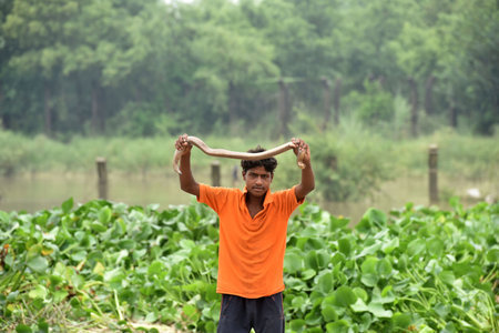 NEW DELHI, INDIA - JULY 11:  A man hold a snake in Water enter the Usmanpur Village after Yamuna water level High  on July 11, 2023 in New Delhi, India.  The India Meteorological Department (IMD) on Tuesday issued an âorange alertâ in Delhi as the Yamのeditorial素材