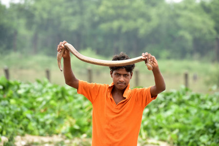 NEW DELHI INDIA JULY 11 2023 A man hold a snake in Water enter the Usmanpur Village after Yamuna water level High on July 11 2023 in New Delhi India The India Meteorological Department IMDon Tuesday issued an âorange alertâ in Delhi as the Yamuna Riveのeditorial素材