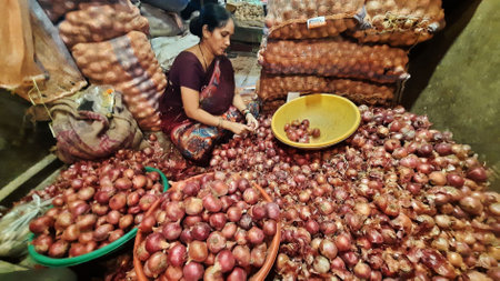 THANE, INDIA - AUGUST 2: A view of Onion trader at Thane APMC market on August 21, 2023 in Thane, India. After a long slump, onion prices are again on the rise, causing concern for the central government. As a result, the Ministry of Finance imposed a 40 のeditorial素材