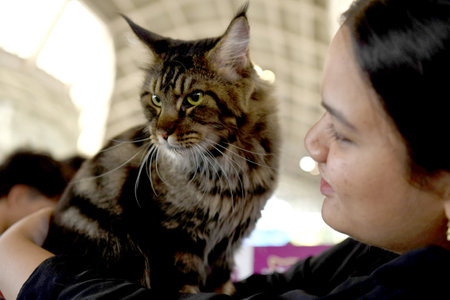 NAVI MUMBAI INDIA JUNE 11 2023 More than 500 cats with 13 types of cat breed were seen participating in the largest Cat Show organized by Feline Club of India at CIDCO Exhibition Center Vashi on June 11 2023 in Navi Mumbai India Photo by Bachchan Kumar Hiのeditorial素材