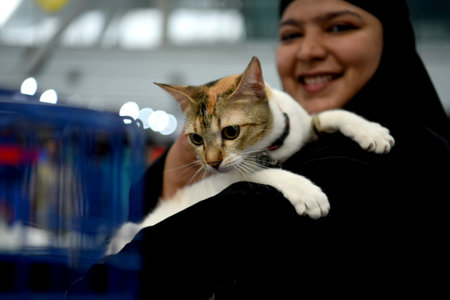 NAVI MUMBAI INDIA JUNE 11 2023 More than 500 cats with 13 types of cat breed were seen participating in the largest Cat Show organized by Feline Club of India at CIDCO Exhibition Center Vashi on June 11 2023 in Navi Mumbai India Photo by Bachchan Kumar Hiのeditorial素材