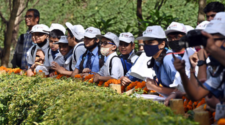 NEW DELHI INDIA APRIL 20 2023 Students watches White tiger cubs at the arena of white tiger enclosure at Zoological Park on April 20 2023 in New Delhi India The Union minister Bhupender Yadav has named the female cub as âAvaniâ meaning earth and the mのeditorial素材