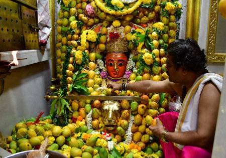 MUMBAI INDIA APRIL 22 2023 A priest places mangoes around an idol of Mumba Devi as part of a ritual on the occasion of the Akshaya Tritiya at Mumbai Devi temple on April 22 2023 in Mumbai India Akshaya Tritiya also known as Akti or Akha Teej is a popular のeditorial素材