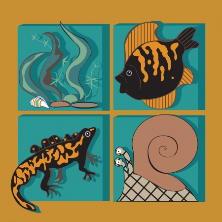 Set of  occupants  of the  aquarium  Picture contains the images of  snail, fish, seaweed  and newt のイラスト素材