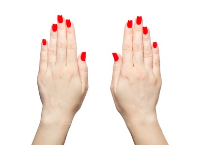 closeup of hands a young woman with long red manicure on nails against white backgroundの写真素材