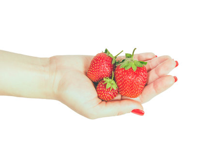 Woman manicured hand whith red nails polish holding fresh strawberries on white background.の写真素材