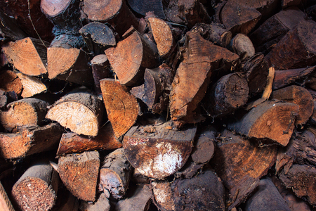 Pile of firewood. Preparation of firewood for the winter and use for cooking, firewood background, Stacks of firewood in the forest. Tonedの写真素材