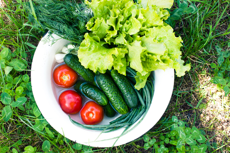 Fresh vegetables in a bowlの写真素材