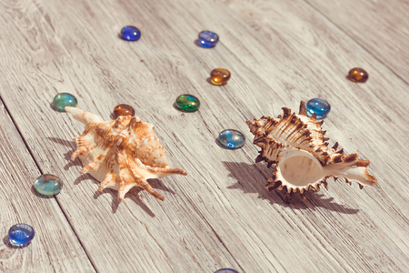 Seashells frame on wooden background. Nautical borderの写真素材
