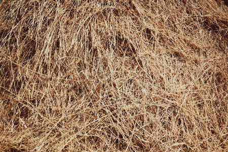straw, dry straw texture background, vintage style for design.の写真素材