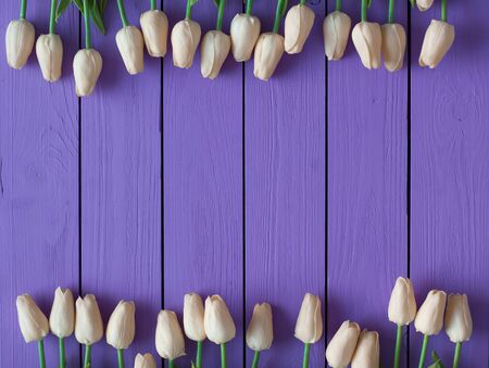 Bouquet of biege tulips on violet wooden background. Top view, copy spaceの写真素材