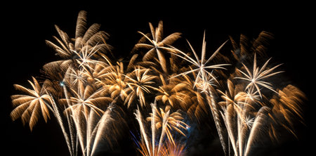 Golden fireworks in colorful shades of orange, white and yellow which look like palms.