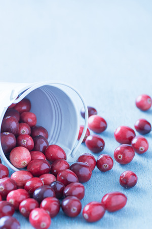 Fresh cranberries in a white fallen over bucket on a blue wooden table.の写真素材
