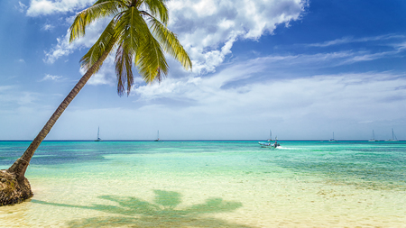 Tropical beach with palm tree and fisherman boat.の写真素材