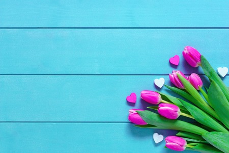Pink colorful tulips over a blue background, in a flat lay composition with copy space.の写真素材