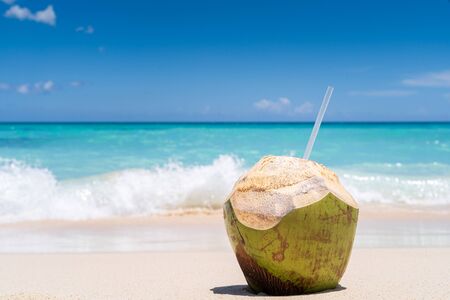 Fresh Coconut on the Caribbean Beachの写真素材