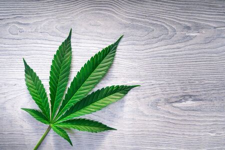 Cannabis leaves on old white wooden background - Top viewの写真素材